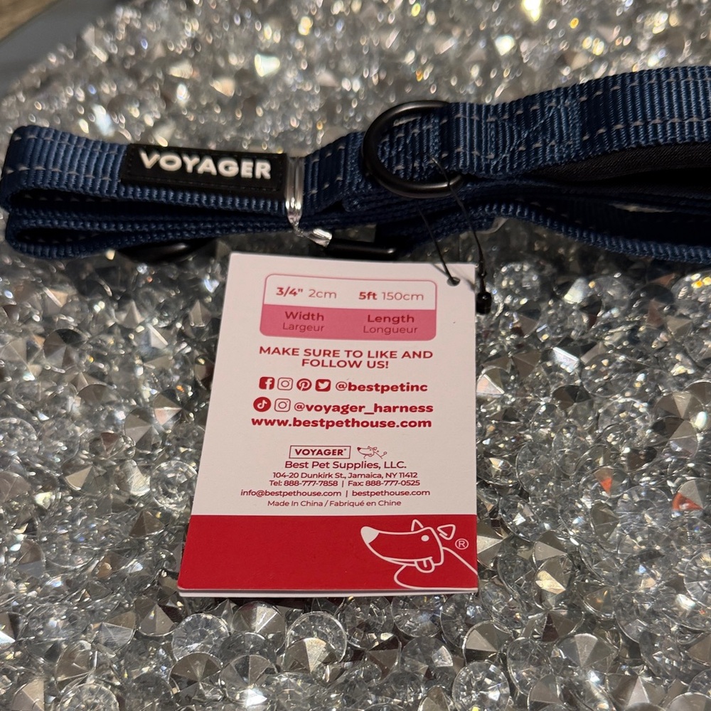 Voyager Blue Dog Leash